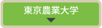 �����_�Ƒ�w