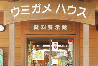 道の駅 紀宝町ウミガメ公園　資料館（kiiカード）